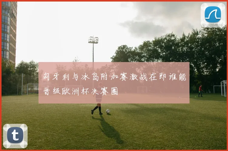 匈牙利与冰岛附加赛激战在即谁能晋级欧洲杯决赛圈