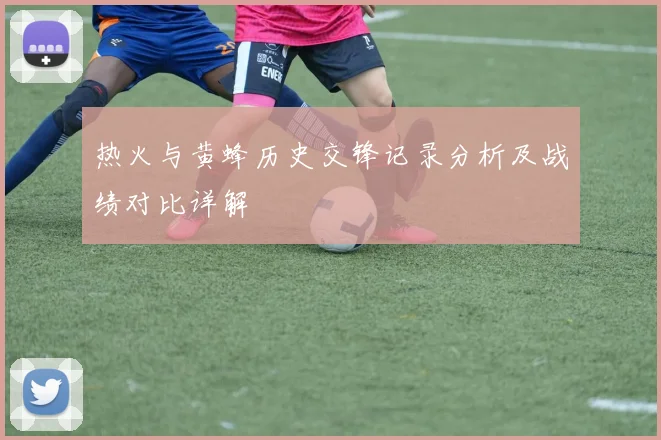热火与黄蜂历史交锋记录分析及战绩对比详解